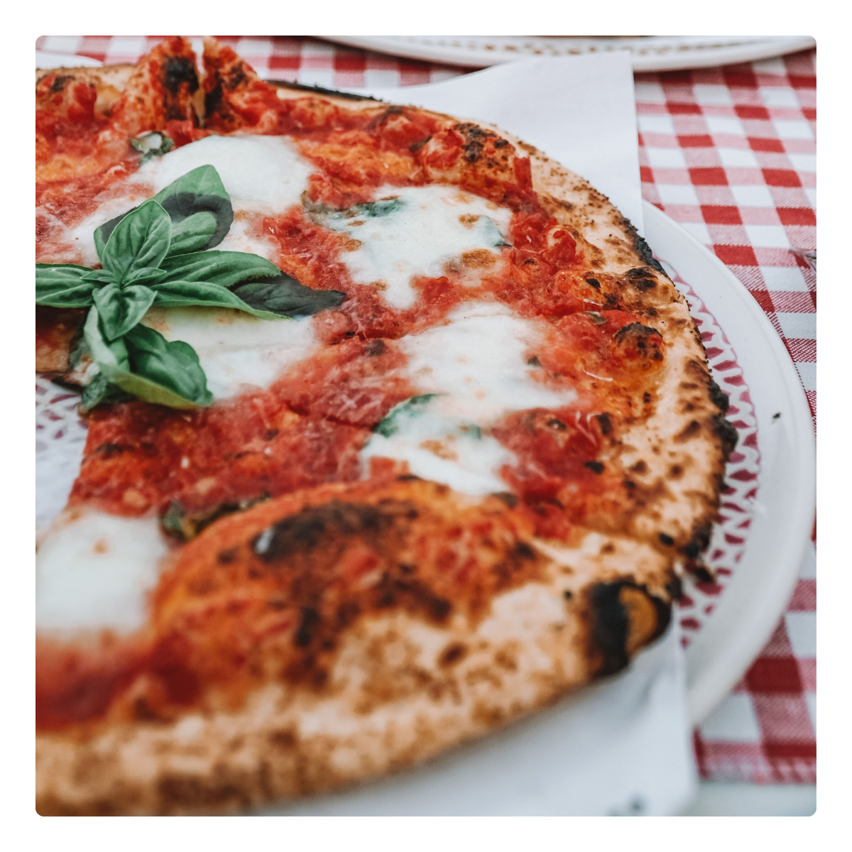 Muhammara Pizza Muhammara Pizza
