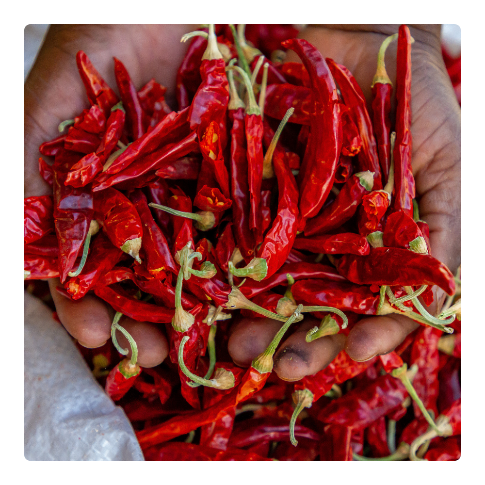 Chilli Öl selber machen: So geht's Chilli Öl selber machen: So geht's